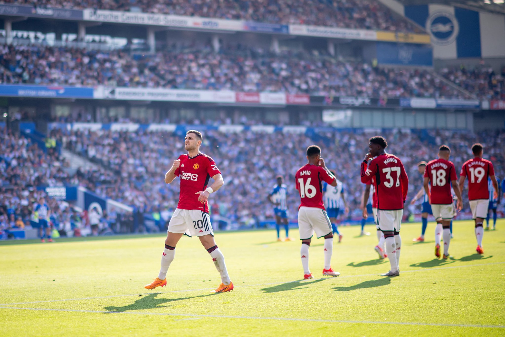 文章将全面 文章将全面